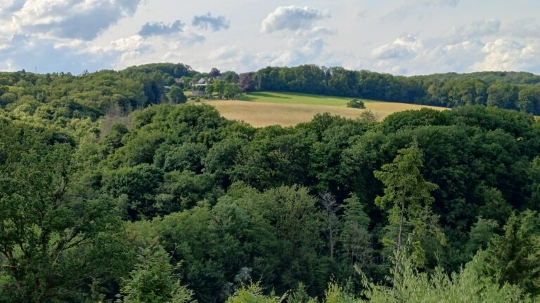 Kleine Maßnahmen mit großer Wirkung